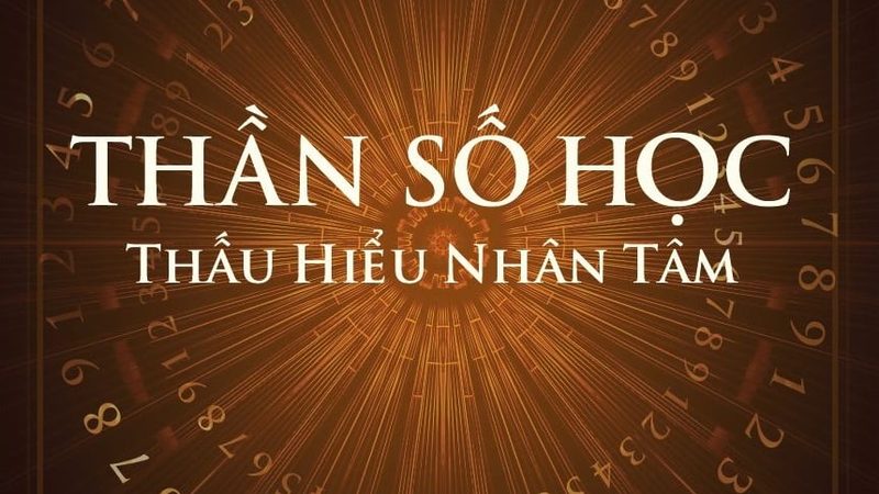 木纹砖线下选购攻略：如何找到性价比高的购买渠道**